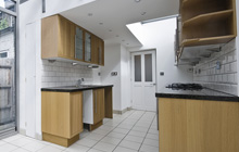 Sholver kitchen extension leads